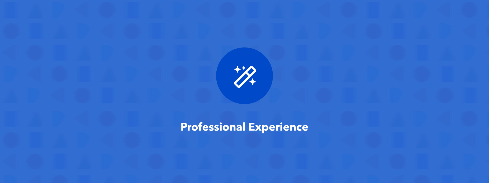 professional-experience